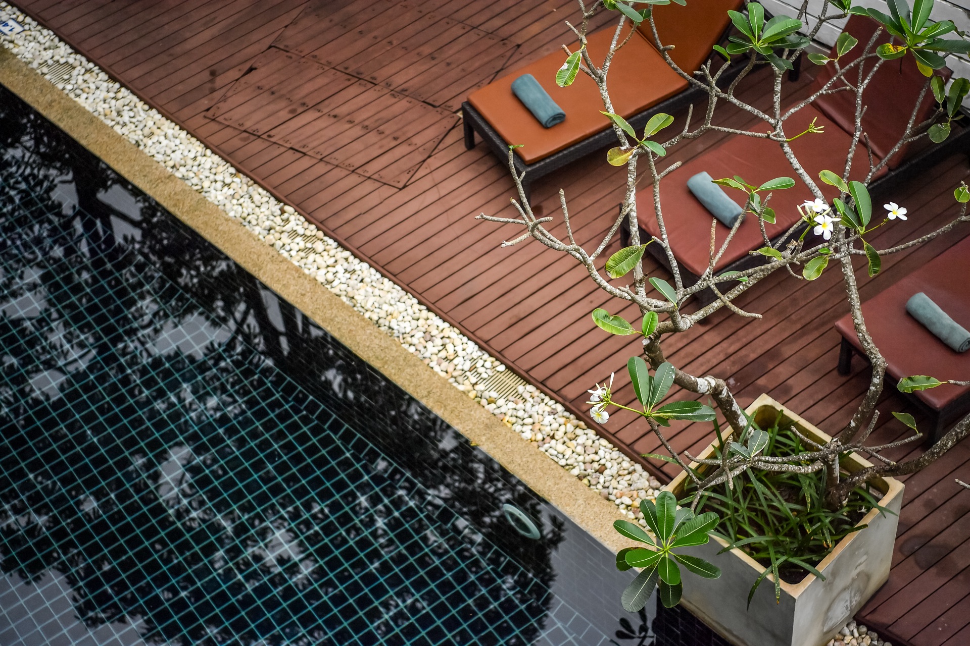 Ground Pool — Navinda Krabi